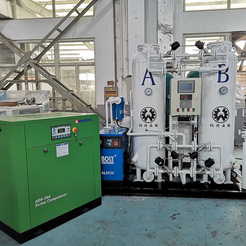 Cheap Sodium/lithium Molecular Sieve psa Oxygen Plant O2 Gas Generator Aquaculture10L/min With CE Certificate