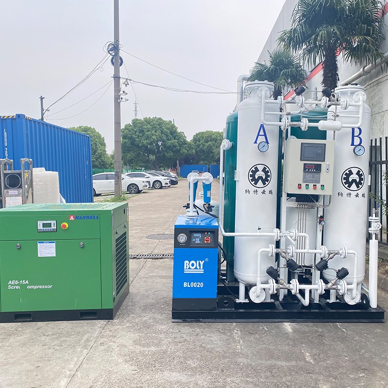 Cheap Sodium/lithium Molecular Sieve psa Oxygen Plant O2 Gas Generator Aquaculture10L/min With CE Certificate