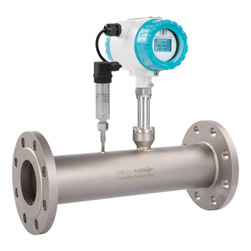 DN100 Compressed Air Flowmeter RS485 4-20mA HART Thermal Gas Mass Flow Meter
