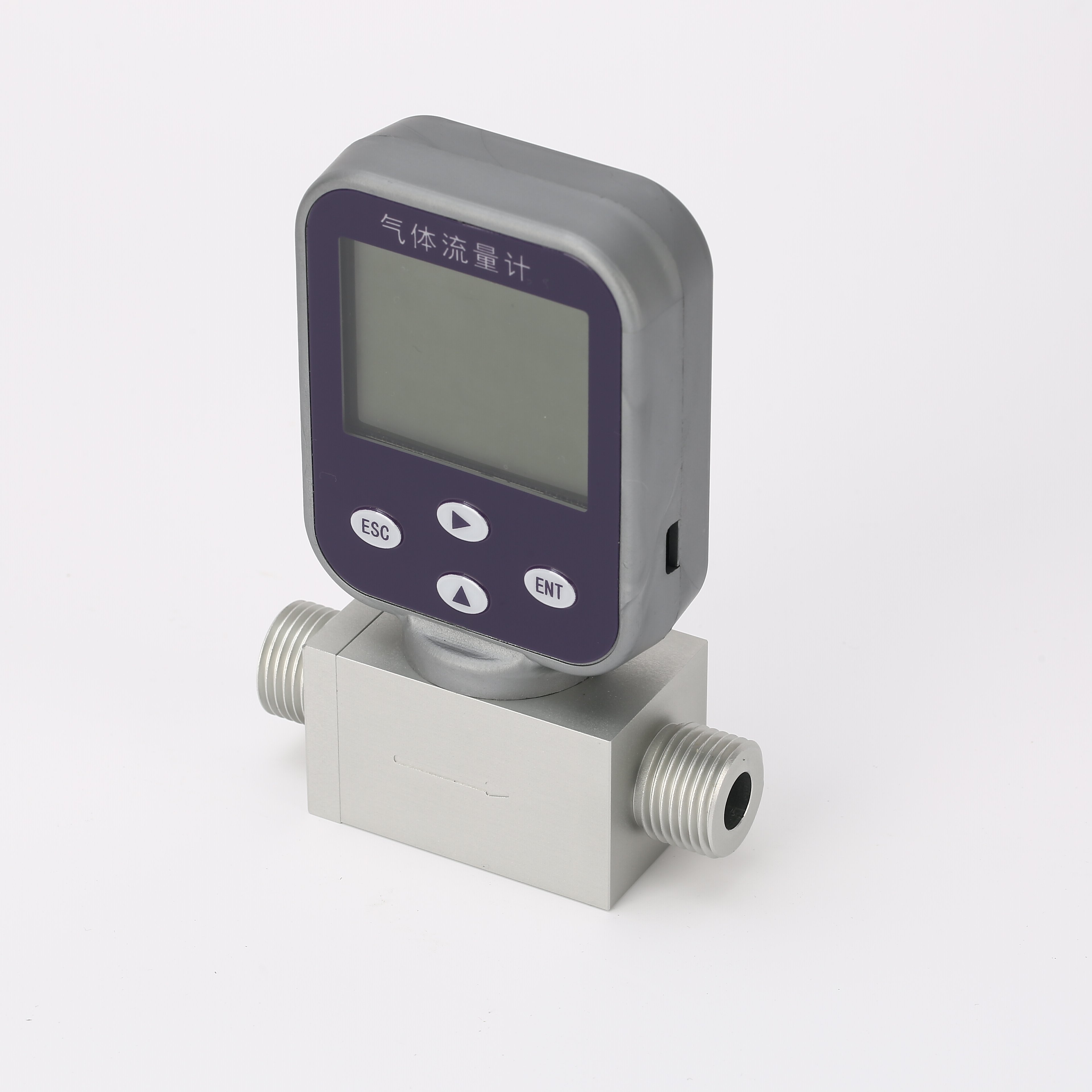 Customizable Digital Thermal Mass Gas Flowmeter 300SLPM/100SLPM/50SLPM LCD Display Modbus Thread For Compressed OEM