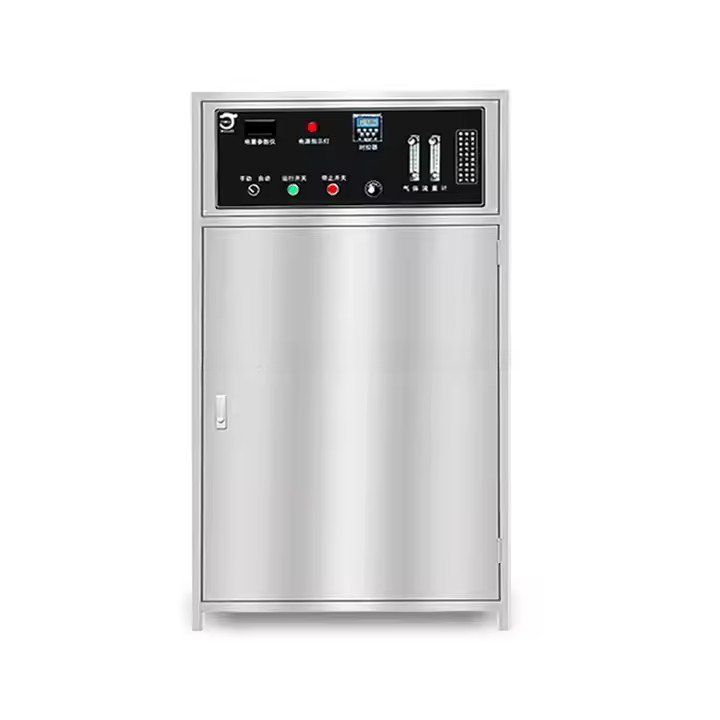 High Purity Portable Industrial Ozone Generator for Water Oxygene Concentrator for Ozonator Fish Pond Farm
