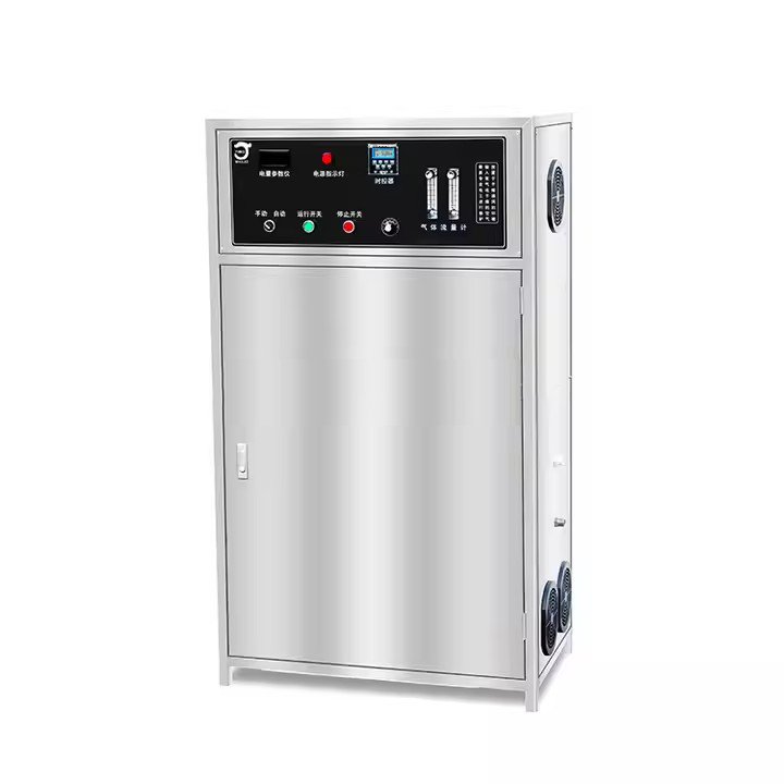 High Purity Portable Industrial Ozone Generator for Water Oxygene Concentrator for Ozonator Fish Pond Farm