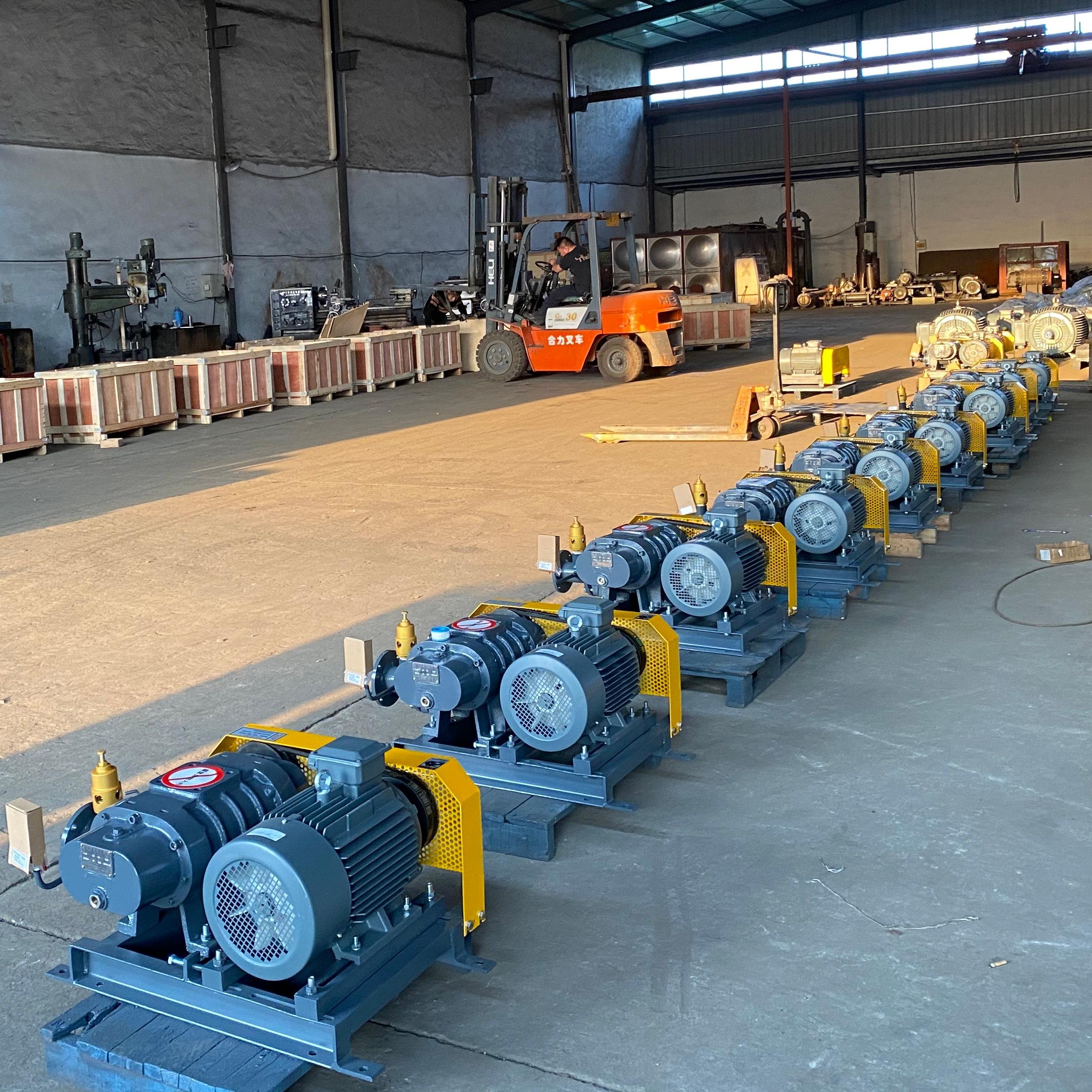 High Quality RZ-50 Roots Blower Big Air Flow and High Efficiency for Pond Fish Farm Industrial Electric Blower