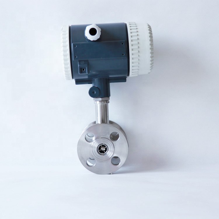 Ex Type Gas Vortex Flowmeters 24V SS304 Customized Chinese Manufacturer Steam Flowmeters