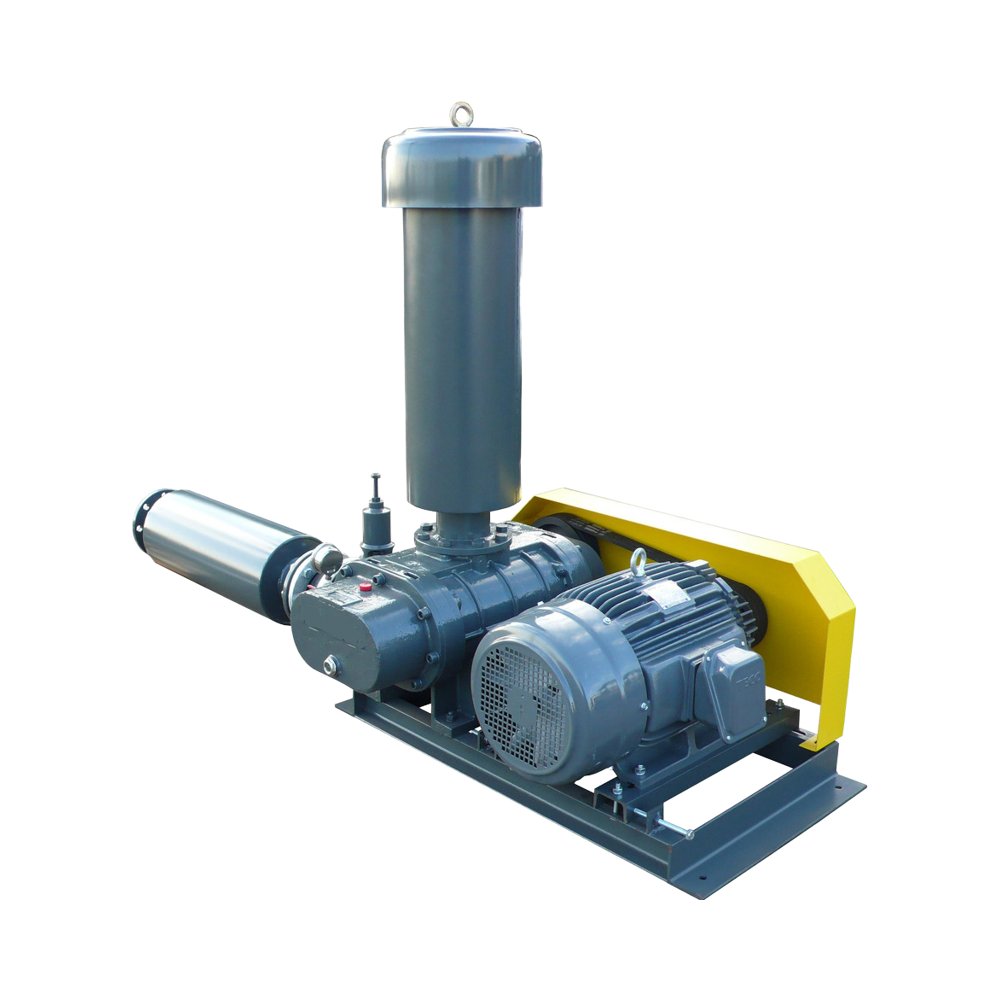 Use Big Air Flow High Performance Suction Double Inlet 5.5Kw 7.5Kw 11Kw Rz-65 Roots Blower for Fish Pond Plant