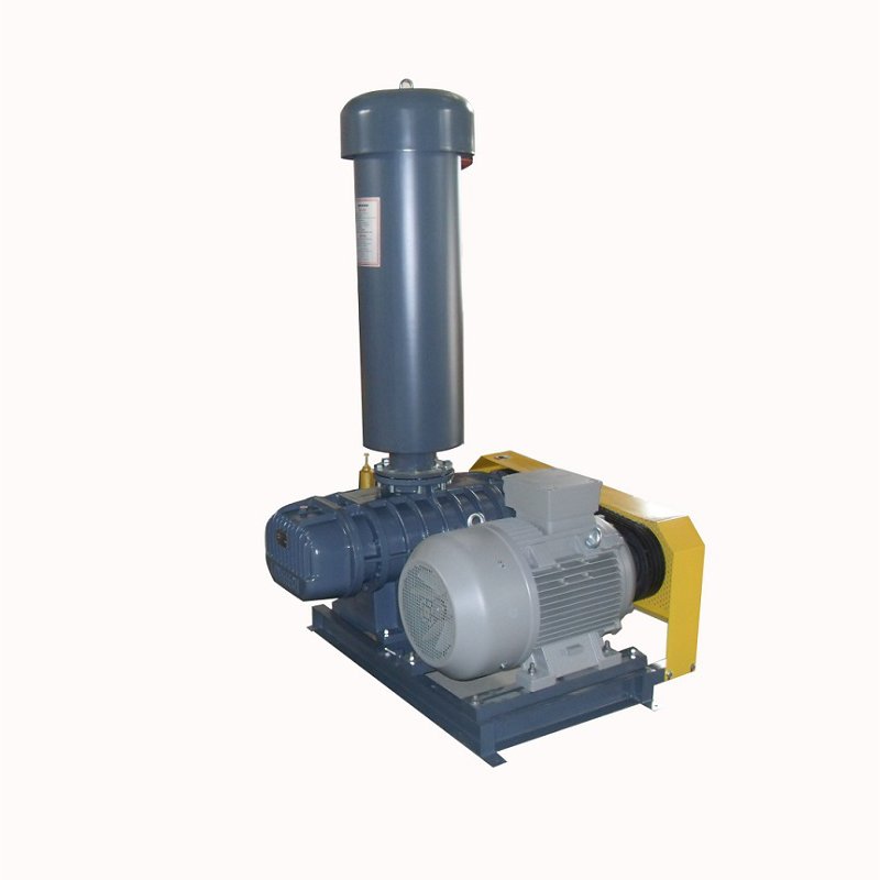 Use Big Air Flow High Performance Suction Double Inlet 5.5Kw 7.5Kw 11Kw Rz-65 Roots Blower for Fish Pond Plant