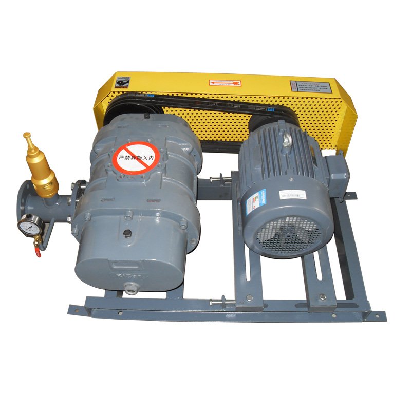 Use Big Air Flow High Performance Suction Double Inlet 5.5Kw 7.5Kw 11Kw Rz-65 Roots Blower for Fish Pond Plant