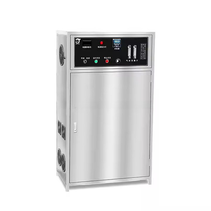 Longevity Ozone Generator for Water 100G Water Machine for Water Treatment