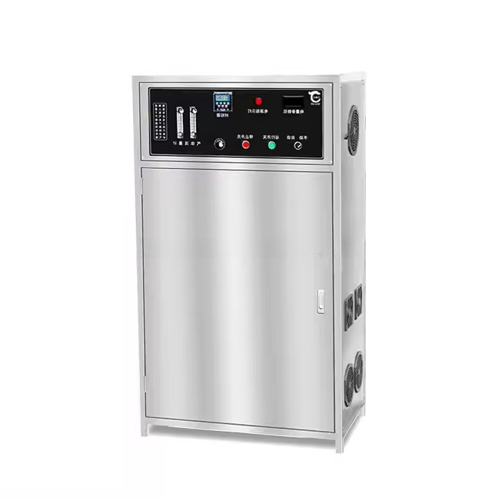 Longevity Ozone Generator for Water 100G Water Machine for Water Treatment
