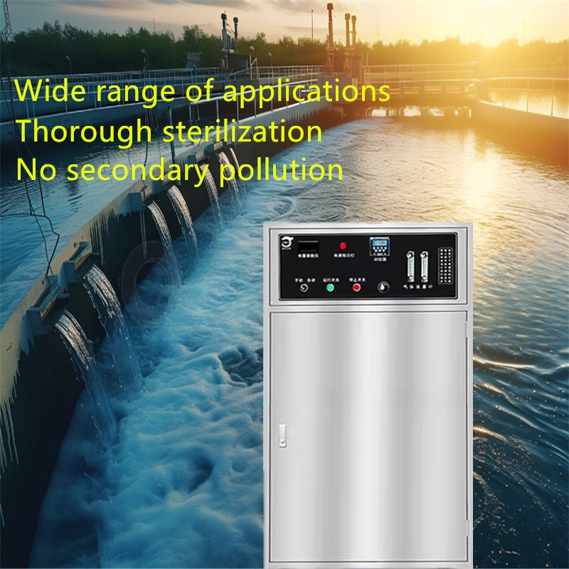 Longevity Ozone Generator for Water 100G Water Machine for Water Treatment