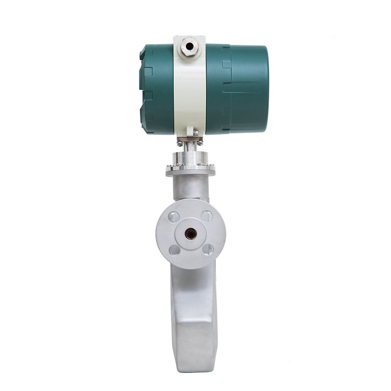 Coriolis Mass Flow Meter Gasoline Diesel Liquid Gas Density Measurement LCD Display Air Water Oil Coriolis Thread Gas Meter