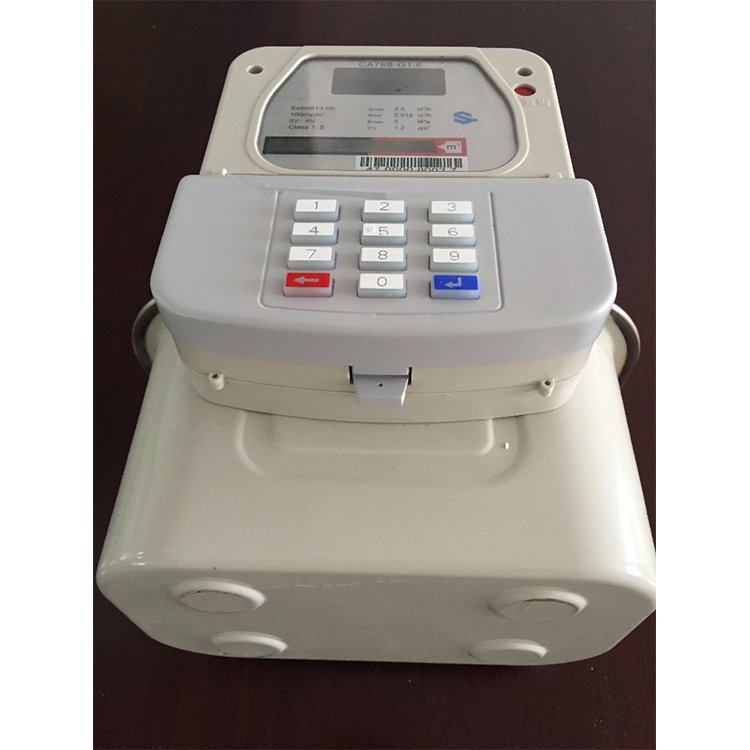 Professional Factory Made Smart Gas Meter Wireless Prepaid Diaphragm Gas Flow Meter for Biogas