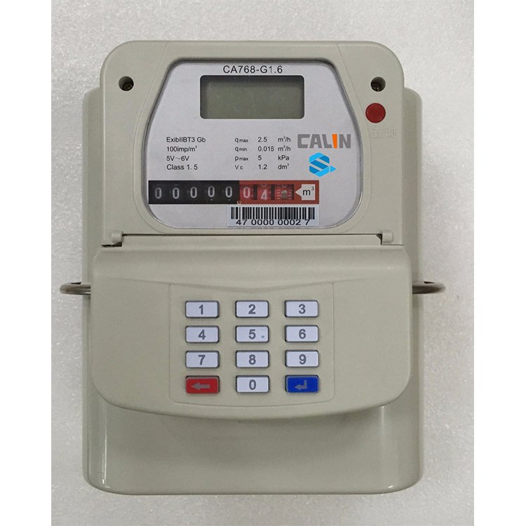 Professional Factory Made Smart Gas Meter Wireless Prepaid Diaphragm Gas Flow Meter for Biogas