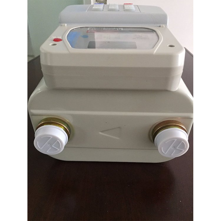 Professional Factory Made Smart Gas Meter Wireless Prepaid Diaphragm Gas Flow Meter for Biogas