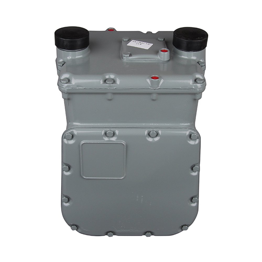 Honeywell AMCO AL425-DN40 Gas Flowmeter City Natural Membrane Gas Meter for Combustion Pipeline
