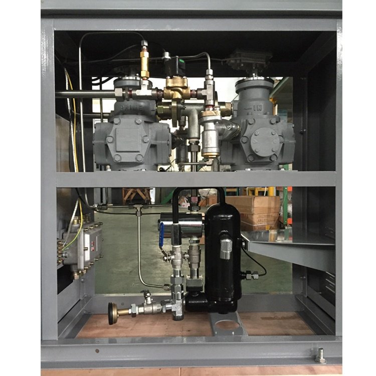 LPG Flow Meter for LPG Dispensers Parts