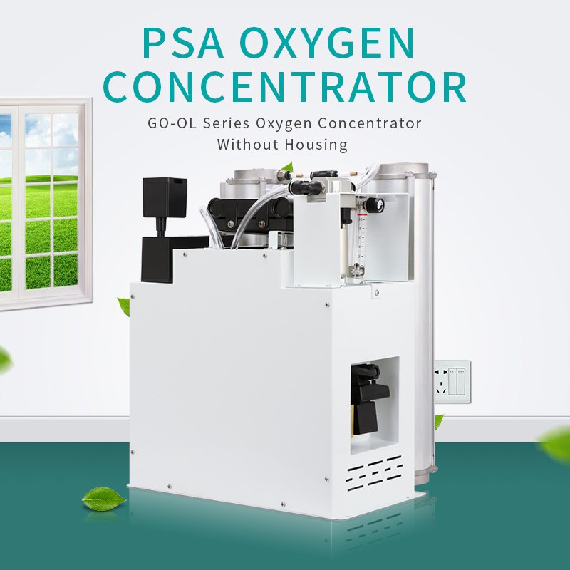 High Purity and Stable Oxygen Generator with Oxygen Flow Meter, Sold at a Low Price
