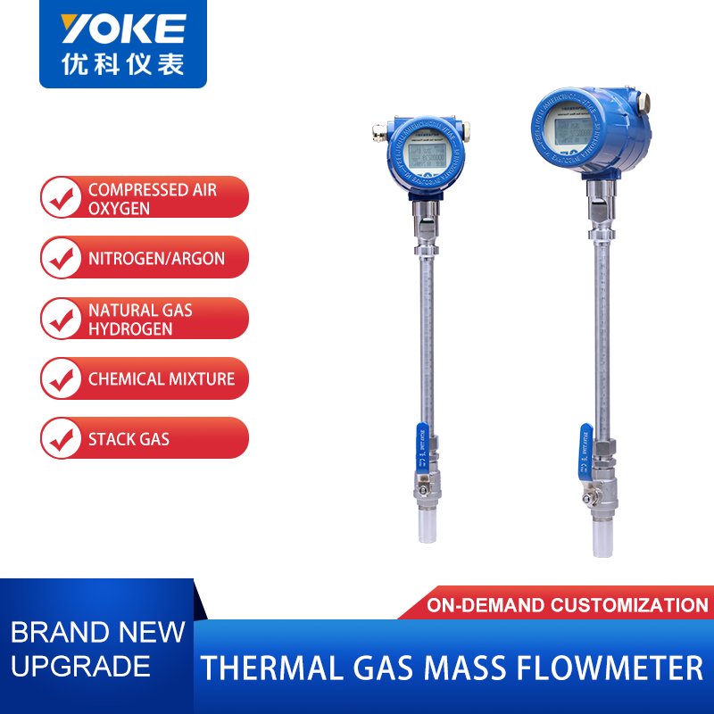 High Precision Lpg Gas Flow Meter Nitrogen Biogas Thermal Gas Mass Flow Meter