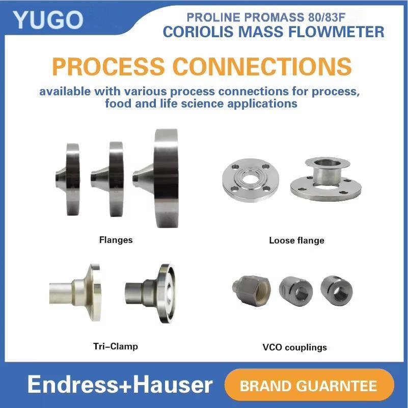 The New and Original Endress+Hauser 80F25 83F25 High Precision Coriolis Mass Flowmeter for Multiple Operating Conditions