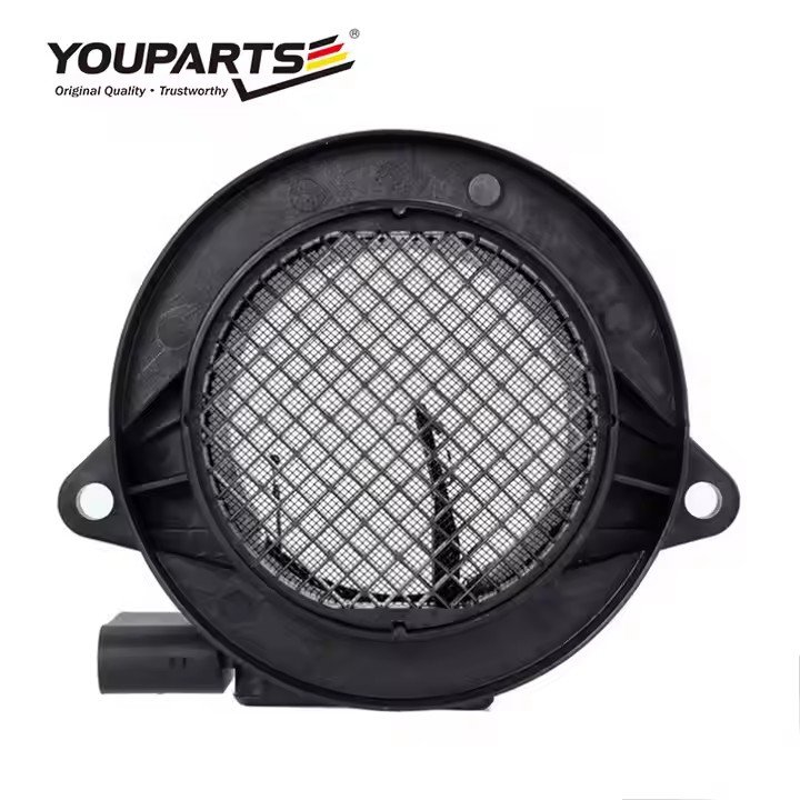 YOUPARTS A2710940248 Air Flow Sensor Meter for C230 226802 W011 W164 BMW E39