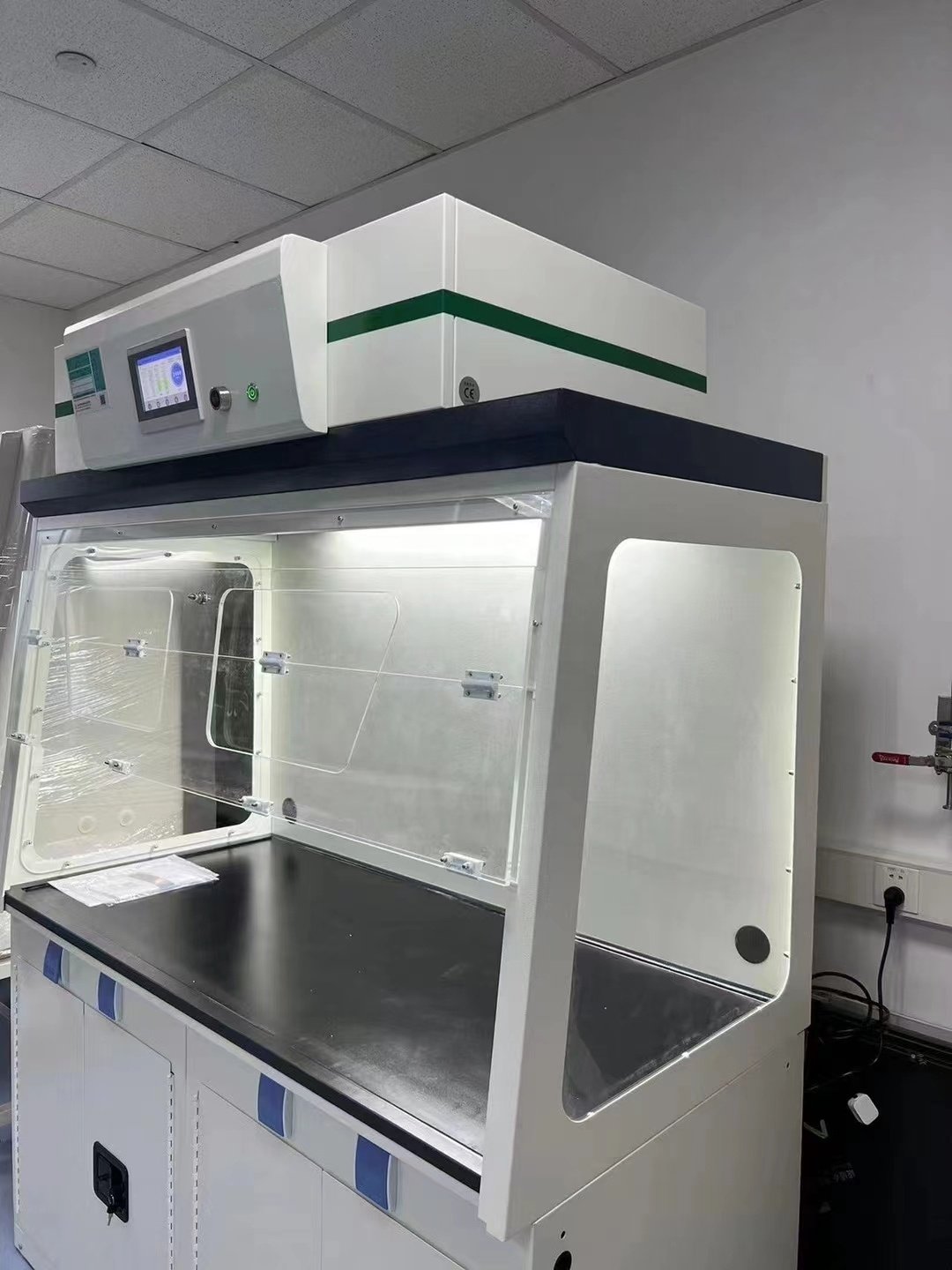 Clean Room Pharmaceutical Powder Safety Weighing Cabinet Negative Pressure Laminar Flow Hood for Weighing Powder and Liquid