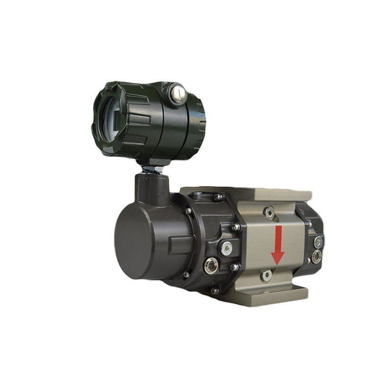 Gas Waist Wheel Flowmeter for Natural Gas Measurement with Gas Meter Showing Working Conditions and Standard Flow Rate