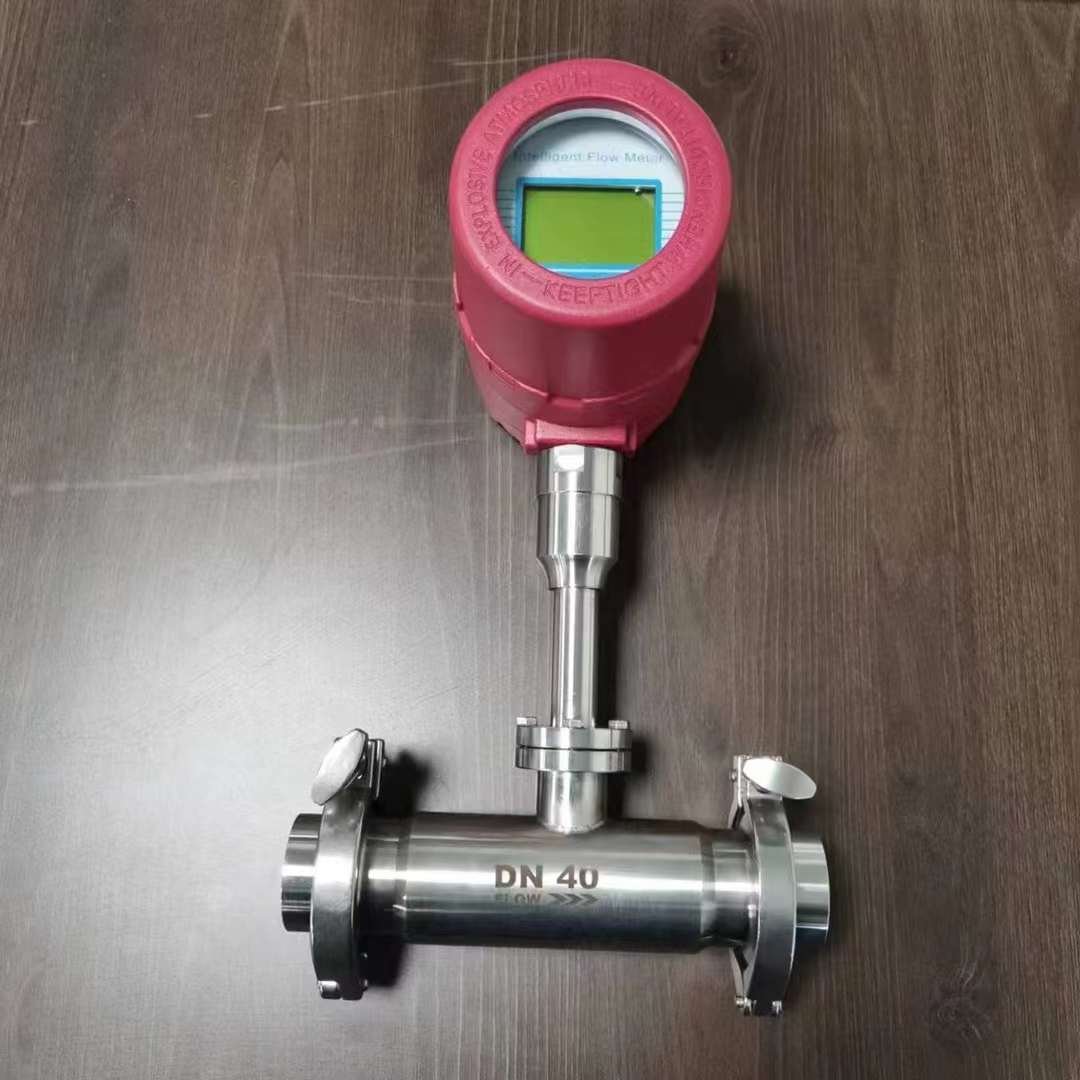 Thermal Gas Mass Flow Meter 24vdc 220vac PN16 Gas Mass Flow Meter