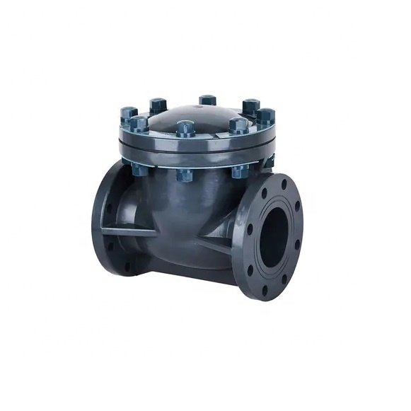 Pvdf Flanged Swing Type Check Valve Water Standard Check Valve 8 Inch Air Compressor Plastic Upvc Cpvc Pph Frpp Pvc General JERI