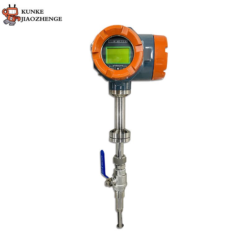 High Quality Digital Air Thermal Mass Flow Meter 1.0% Precision Stainless Steel Ammonia Gas Flow Meter OEM Measurement