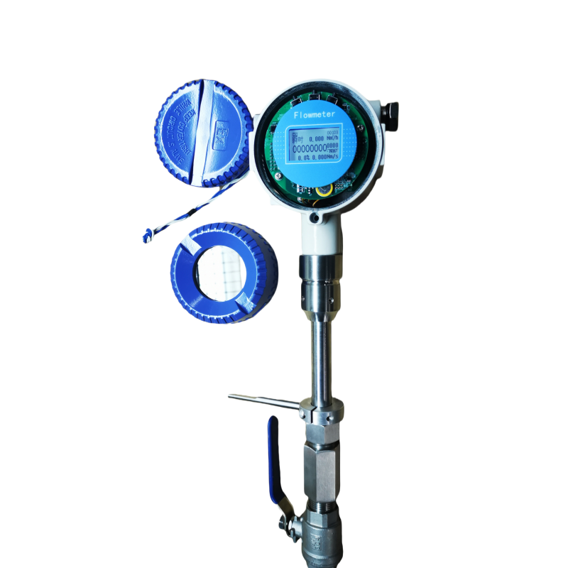 Thermal Gas Mass Flowmeter Standard Insertion Flow Meter Compressed air Flowmeter Natural Gas Flowmeter