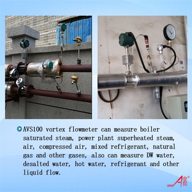 Customizable Stainless Steel Vortex Flow Meters OEM Support for Gas Liquid Air Medium with Flange Connections