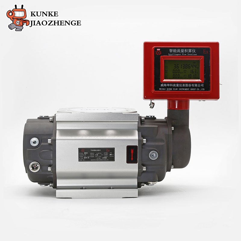 Customizable Stainless Steel Digital LPG Gas Flow Meter LCD Display for Water Oil Liquid Air Media