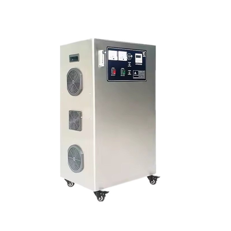 50G/H Portable Medical Ozone Therapy Machine Stainless Steel Ozone Generator Ozonizer Air Purifier for Water Treatment
