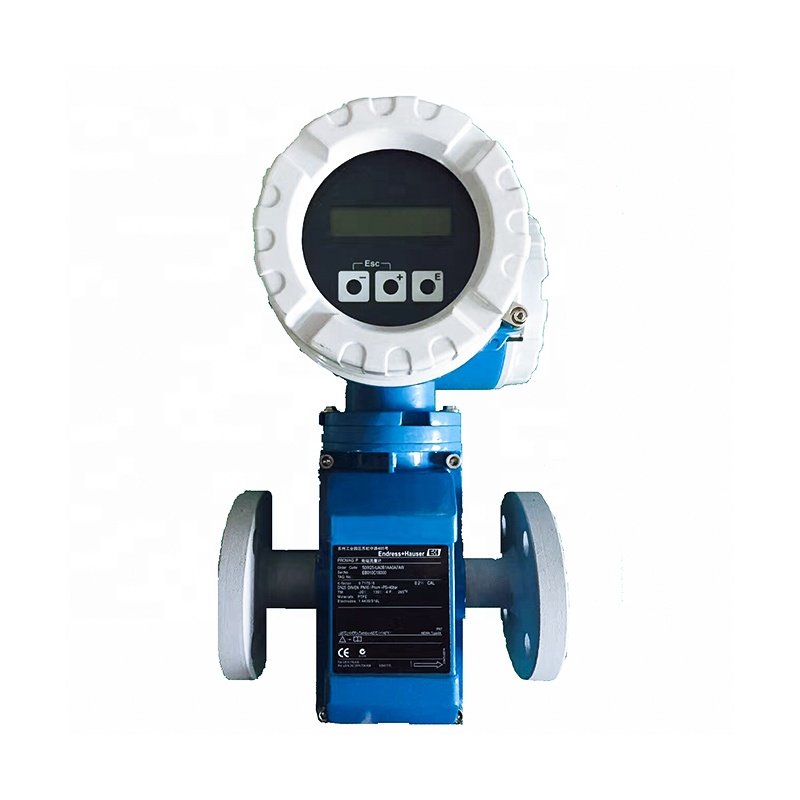 Endress+Hauser Professional Cheap Coriolis Mass Flow Meter for Cryogenic Liquids