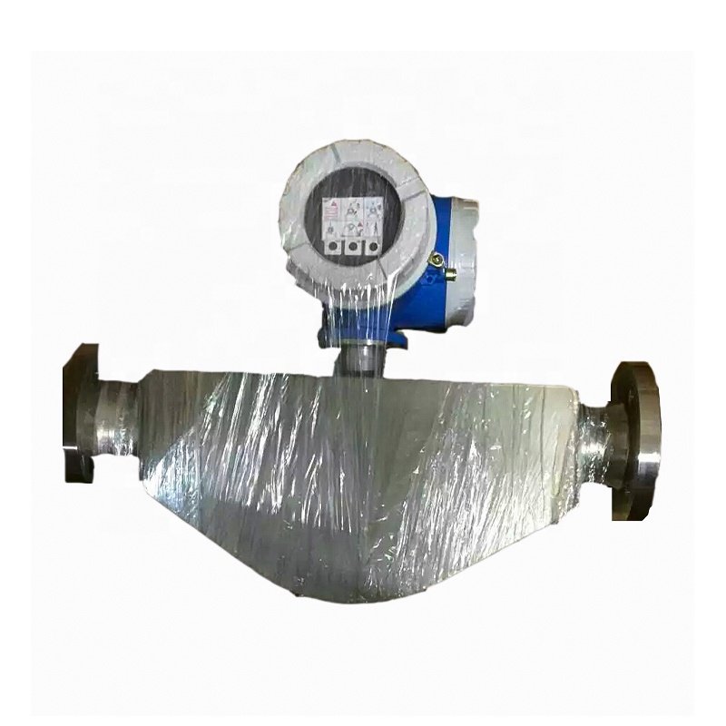 Endress+Hauser Professional Cheap Coriolis Mass Flow Meter for Cryogenic Liquids