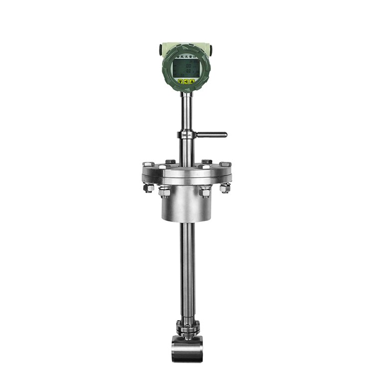 Portable Ammonia Methane Gass Digital lpg Gas Flow Meter Gas Hidrogen Digital Flowmeter Vergaser Mass Flow Meter for Gas