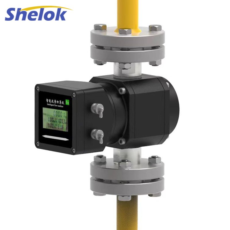 Shelok Hight Precision Flue Gas Flow Meter Natural Gas Flow Meters Lpg Hart Digital Inline Liquefied Roots Flowmeter