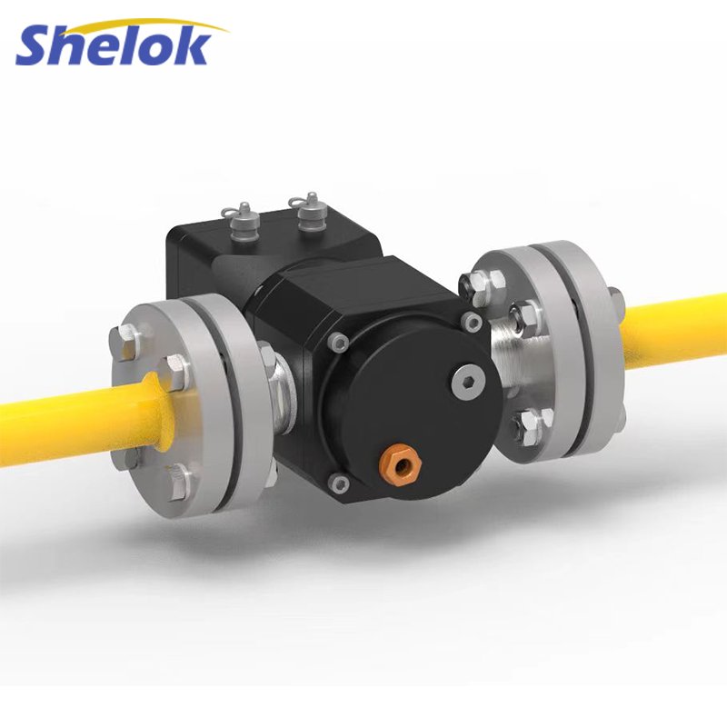 Shelok Hight Precision Flue Gas Flow Meter Natural Gas Flow Meters Lpg Hart Digital Inline Liquefied Roots Flowmeter