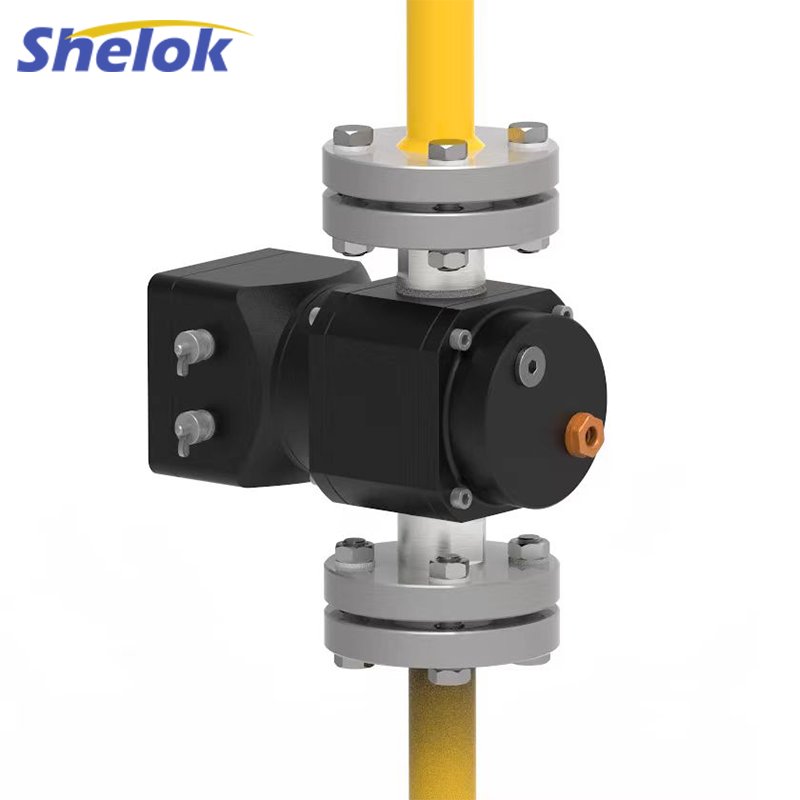 Shelok Hight Precision Flue Gas Flow Meter Natural Gas Flow Meters Lpg Hart Digital Inline Liquefied Roots Flowmeter