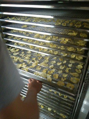 Industrial Fruit Vegetable Drying Machine 1000/h Strong Cool Wind Air Flow New PLC Dewater Fruit Vegetable Processing