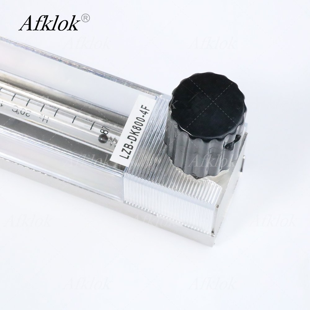 Hydrogen Gas Flow Meter Float Flow Meters for H2 Gas 25~250ml/min 60~600ml/min 100~1000ml/min
