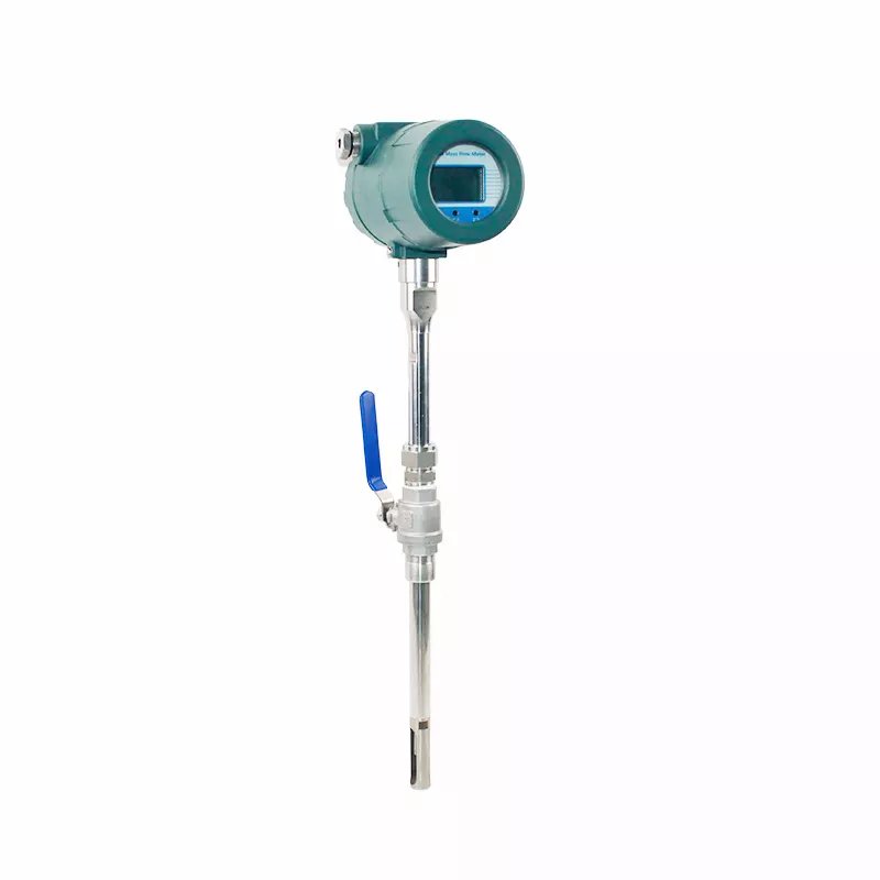 Nitrogen Gas Thermal Gas Mass Flow Meter Insertion Type for Vary Pipe Zise Thermal Mass Flow Meter for Natural Gas