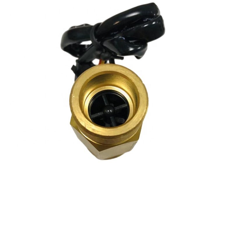 G1 1/4 1/2 3/4 Horizontal Vertical Water Flow Sensor DN20 Magnetic Switch Brass Water Flow Sensor for Heat Pump