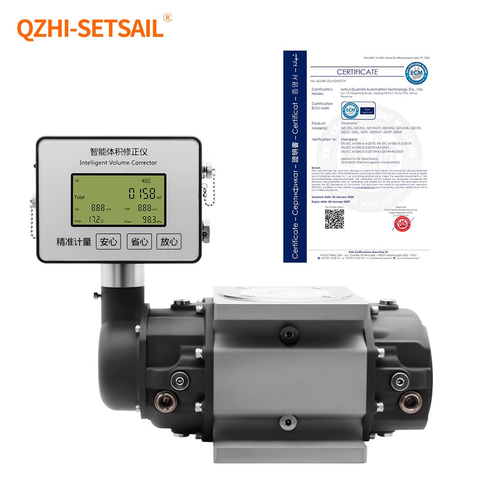 High Precision Intelligent Gas Roots Flow Meters Compressed air Gas Meter CE Certified High Quality Manufacturer Gas Flowmeter