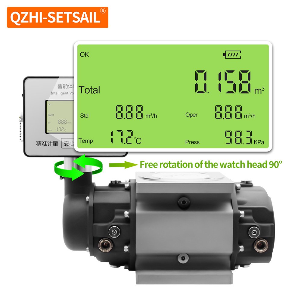 High Precision Intelligent Gas Roots Flow Meters Compressed air Gas Meter CE Certified High Quality Manufacturer Gas Flowmeter