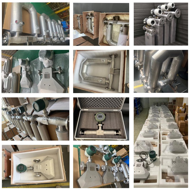 1500psi Oil and Gas Type Flowmeter Coriolis Mass Flow and Density Meter