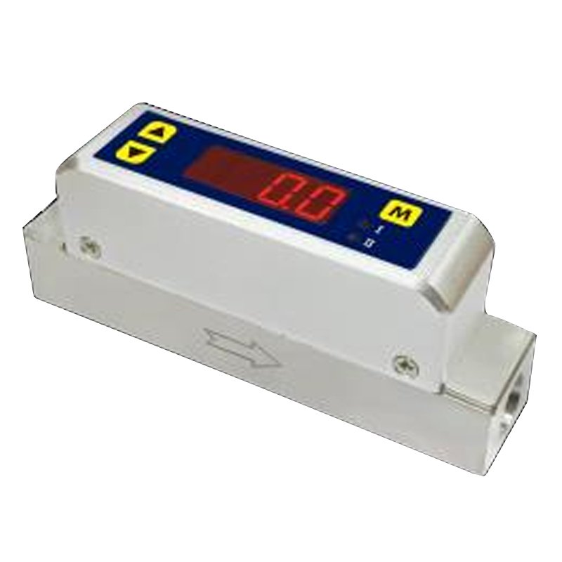 Mass Flow Meters With Calorimetric Sensing With Display