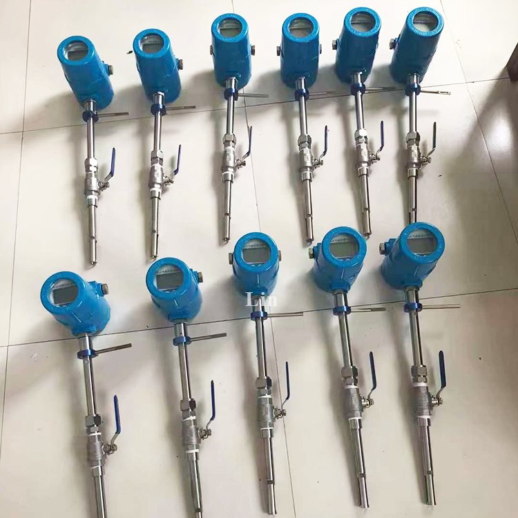 CO2 N2 Biogas Ammonia Oxygen Propane Chlorine Gas Thermal Mass Flow Meter Hydrogen Air Flow Meters Sensor