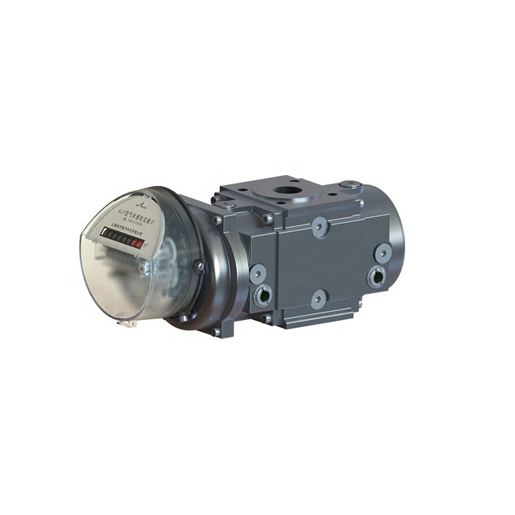 Gas Roots Flow Meter Natural Gas lpg Gas Compressed air Flow Meter
