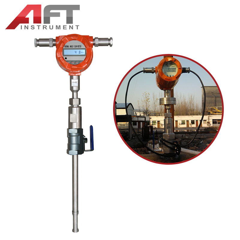 Smart Co2 N2 Biogas Gas Dyboran Flow Meter 3 Inches Thermal Gas Mass Flow Meter lpg Analog Gas Flowmeter